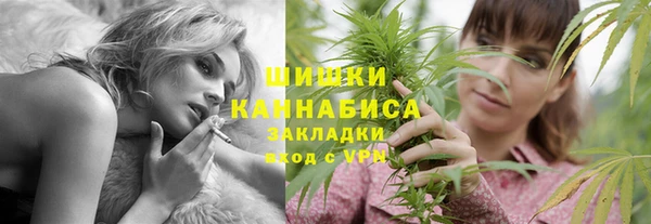 амф Каменногорск