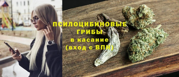 амф Каменногорск