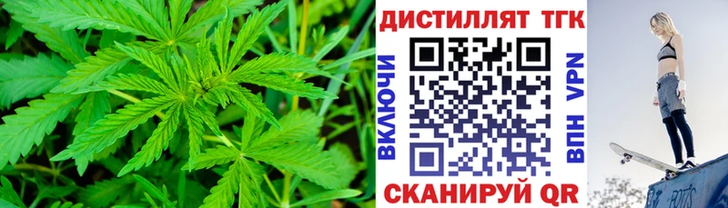 Купить закладки  Кумертау  Дистиллят ТГК Wax 
