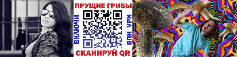 Купить  Кумертау  Галлюциногенные грибы Magic Shrooms 